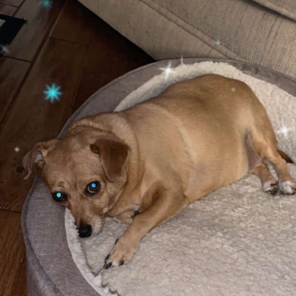 Profile Picture of Josephine Maher (@josephine_maher) on Poshmark