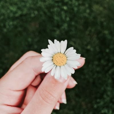 Profile Picture of Amal Sadek (@AmalSad06852287) on Twitter