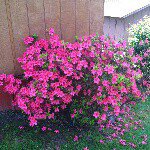 Francesca Duncan - Instagram Profile Picture of Francesca Duncan (@francesca88duncan) on Instagram