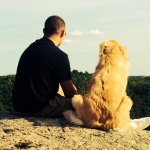 Profile Picture of david_no_bisbal21 (@david_no_bisbal21) on Instagram