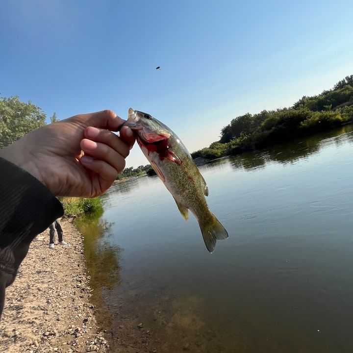 Profile Picture of Isael Martinez (@isaelmartinezzz) on Tiktok