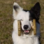 Profile Picture of Roberto Lamberti (@robby_lamberti) on Instagram