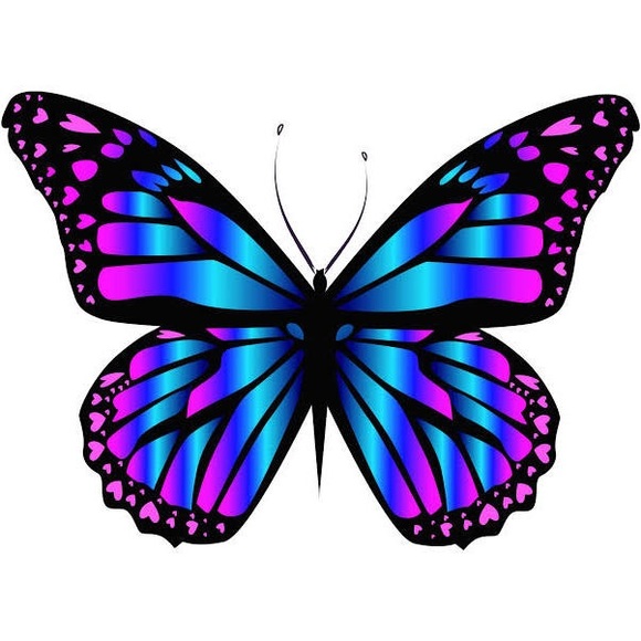 Profile Picture of Erin Matthews (@erinmatthews577) on Poshmark