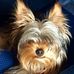 Profile Picture of Roberta Della Marta (@roberta.dellamarta.9) on Facebook