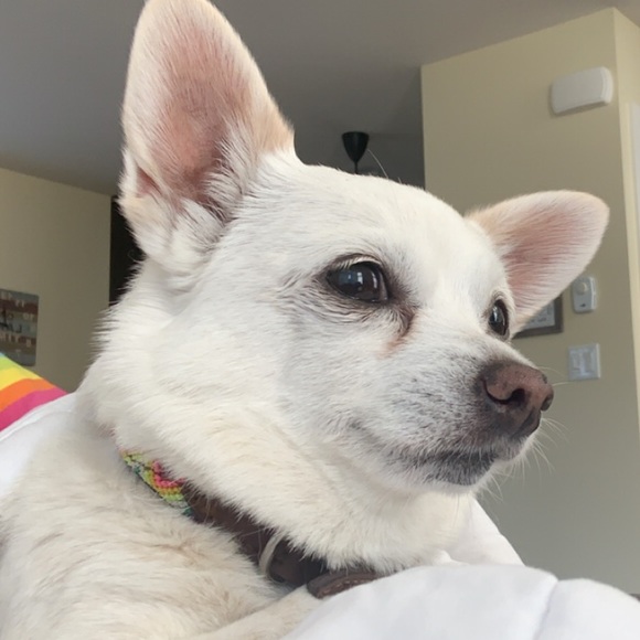 Profile Picture of Madi Marusiak (@madimarusiak) on Poshmark