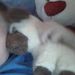 Profile Picture of Walter Crabtree (@crabtree1327) on Pinterest
