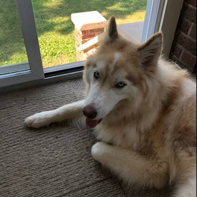 Profile Picture of Joseph Gorski (@gatorJ0E) on Twitter