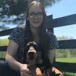 Profile Picture of Josie Gillespie (@jjk_bassets) on Instagram