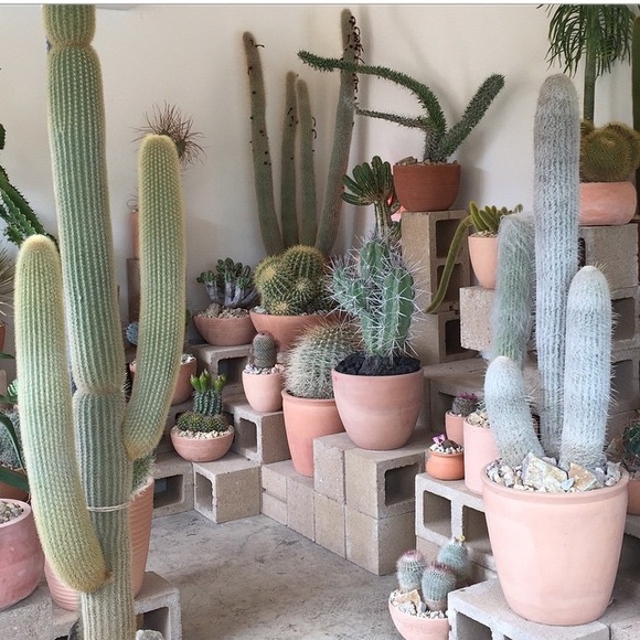 Profile Picture of Kandyce Snickerdoodle (@smandyce) on Poshmark