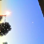 Profile Picture of ava cannon (@avacannon56) on Instagram