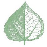 Profile Picture of Jim Yeager (@byleafelectricgamailcom) on Instagram