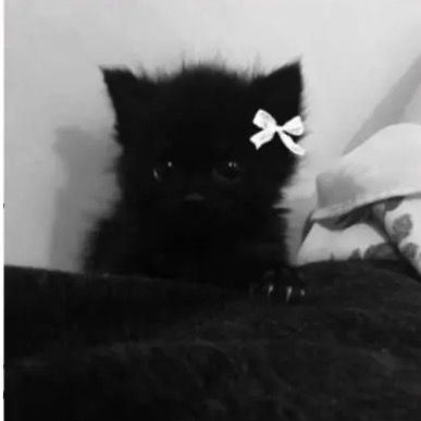 Profile Picture of benjamín (@benjaminmessi30) on Tiktok