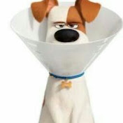 Profile Picture of Max Amador De Games (@maxamadordegames7315) on Youtube