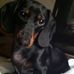 Profile Picture of Henry Nesbit (@Henry-Nesbit) on Facebook