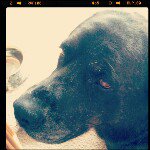 Profile Picture of Cassie Lee Cramer (@misysass) on Instagram