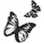 Profile Picture of Martin Sampson (@amandalynne03) on Flickr