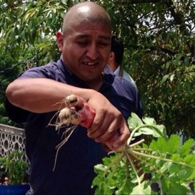 Profile Picture of Joel A.Tovar Velasco (@JoelGIDEM) on Twitter