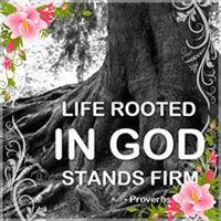 Profile Picture of Amy Ludwig Sine (@amy-ludwig-sine) on Quora