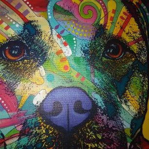 Profile Picture of Marlene Haro (@MarleneHaro5) on Twitter