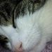 Profile Picture of Carl Wahlbeck (@carl.wahlbeck.7) on Facebook
