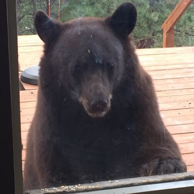 Mark Coontz - Twitter Profile Picture of Mark Coontz (@MarkCoontz) on Twitter