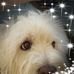 Profile Picture of Glenn Wertz (@glenn.wertz.5) on Facebook