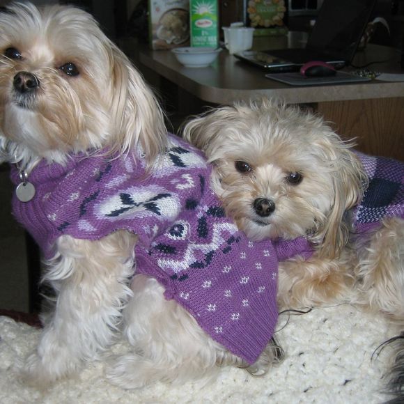 Debra Quarve - Poshmark Profile Picture of Debra Quarve (@debraquarve) on Poshmark