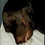 Dylan Welch - Instagram Profile Picture of Dylan Welch (@welch008) on Instagram