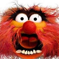 Profile Picture of Carole Chase (@carole-chase) on Quora