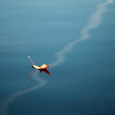 Profile Picture of ThomasB.Stallings (@ThomasBStallin1) on Twitter