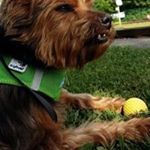 Profile Picture of Michael Koslowski (@mikoslowski) on Instagram