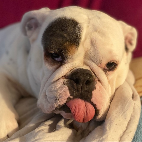 Profile Picture of Addison Gsell (@addygsell) on Poshmark