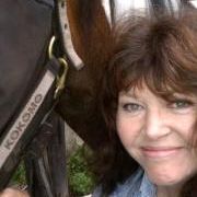 Profile Picture of Diane Crowley (@dgcrowley53) on Pinterest