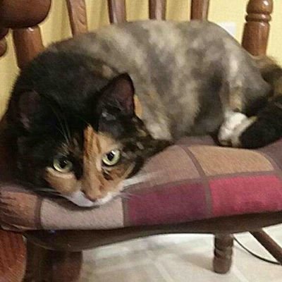 Profile Picture of John Allen Rice (@JohnAllenRice) on Twitter