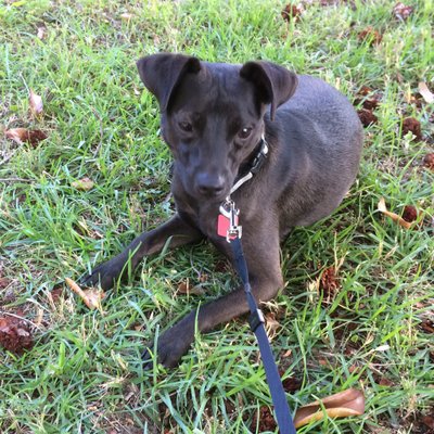 Profile Picture of John Dolen (@jdolen41) on Twitter