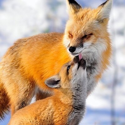 Profile Picture of Deborah Hamm (@D_N_Hamm) on Twitter