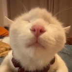 Profile Picture of Hubert Aha (@Hubert-Aha) on Facebook