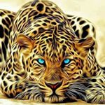 Profile Picture of Sean Stout (@sean.stout.739) on Instagram