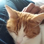 Profile Picture of Adam Ormiston (@adam.ormiston.50) on Facebook