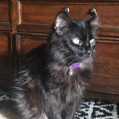 Delores Minor - Twitter Profile Picture of Delores Minor (@deloresMinor1) on Twitter