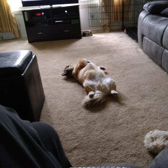 Profile Picture of Linda Higman (@higman48) on Poshmark