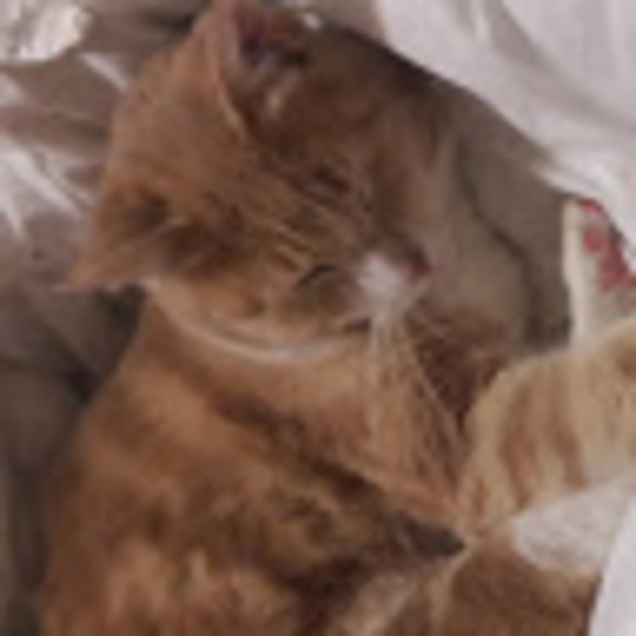 Profile Picture of Kimberly Tolley (@kimtolley86) on Poshmark