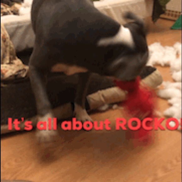 Profile Picture of Joshua Carthan (@josaicorp) on Poshmark