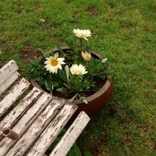 Profile Picture of Gladys Alba María (@GladysAlbaMara1) on Twitter