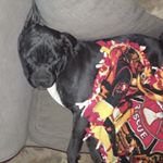 Profile Picture of Liz Clark Burns (@liz.c.burns.5) on Instagram