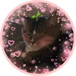 eric the boyz as ur nephew - Instagram Profile Picture of eric the boyz as ur nephew (@chaislos) on Instagram