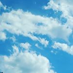 Profile Picture of Chandler Collins (@chandler.collins.961) on Instagram