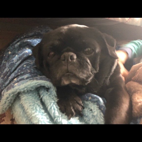 Profile Picture of Karen Saraco (@khs99) on Poshmark