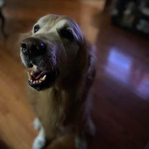 Profile Picture of Mark Waits (@mark.waits) on Tiktok