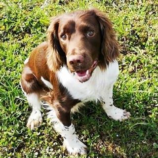 Profile Picture of Giuseppe Sannino (@gsannino1) on Facebook